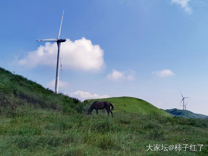 今天也有好风景_景色