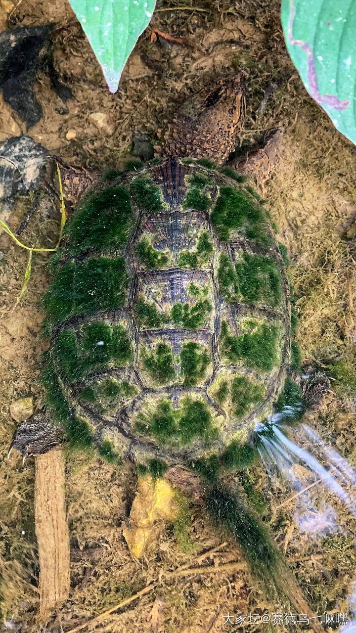 清晨的营地静非常安逸_景色