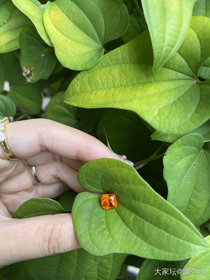 新收到的芬达颜色可以吗？_芬达彩色宝石