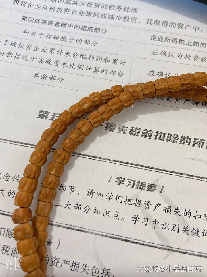 有没有跟我一样的一遍盘百香籽一边看税务师_菩提子