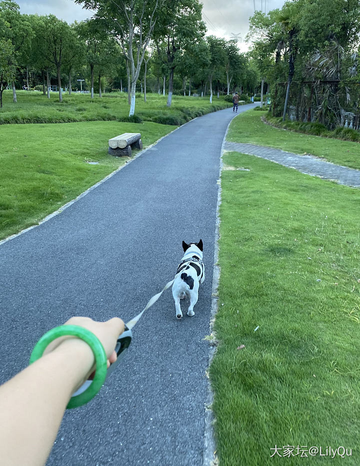 合格的铲屎官都是五点半出门的。。。