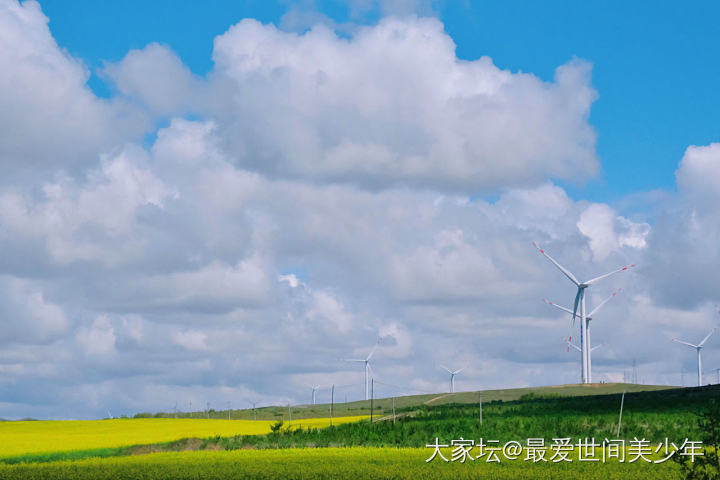 大蒙古可太好看啦～【多图】
线路是张北——锡林郭勒——阿尔山——满洲里。这是第三...