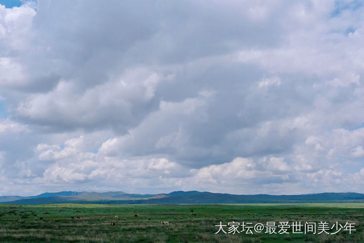 大蒙古可太好看啦～【多图】
线路是张北——锡林郭勒——阿尔山——满洲里。这是第三...