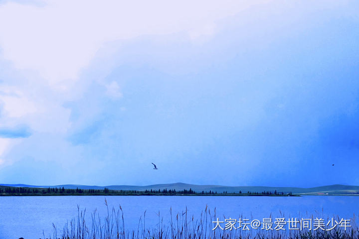 大蒙古可太好看啦～【多图】
线路是张北——锡林郭勒——阿尔山——满洲里。这是第三...