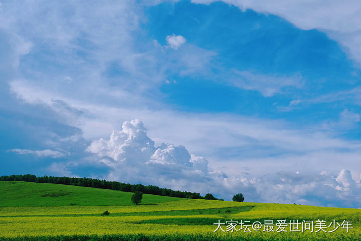 大蒙古可太好看啦～【多图】
线路是张北——锡林郭勒——阿尔山——满洲里。这是第三...