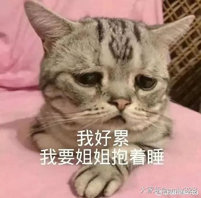 魔幻的成年身高增长_猫