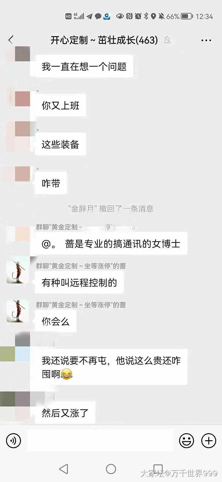 《一只大福传承把件鼠引发的金坑混战》