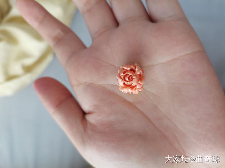 这个证书是真的吗_珊瑚