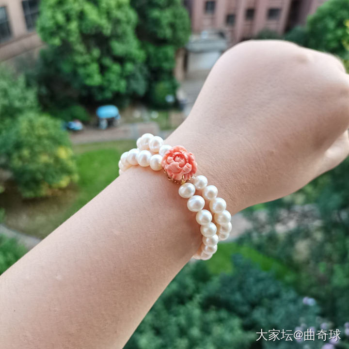 这个证书是真的吗_珊瑚