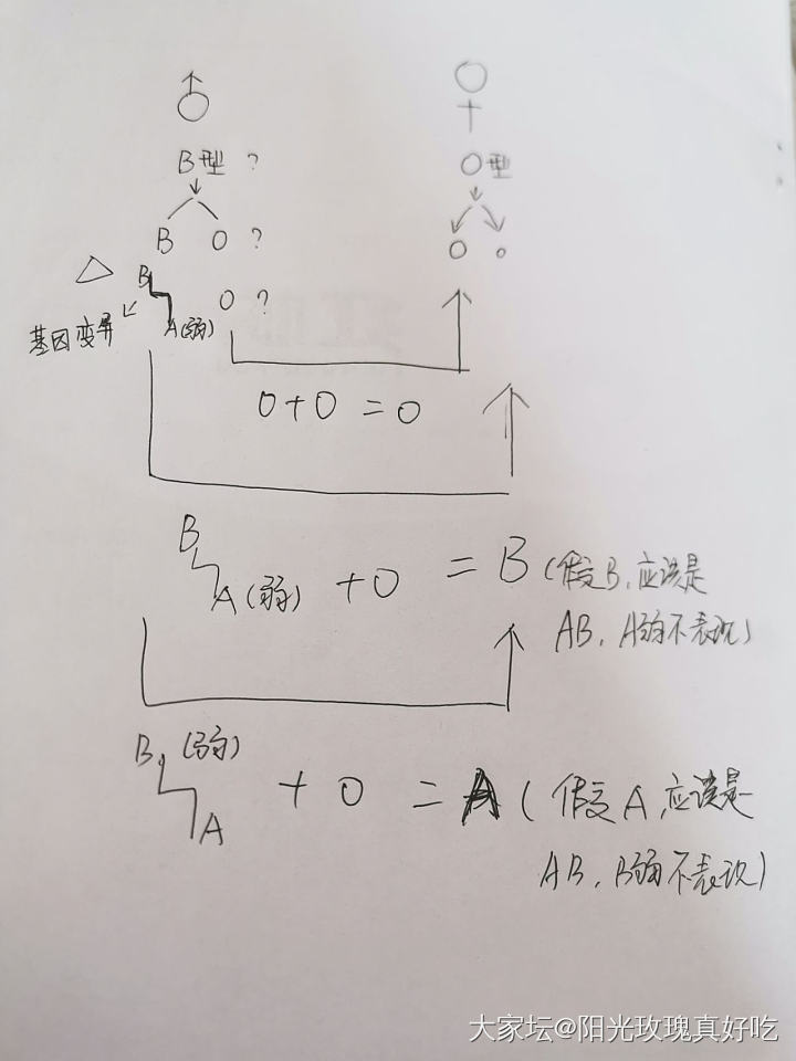 我好像知道了个了不得的秘密_家务事