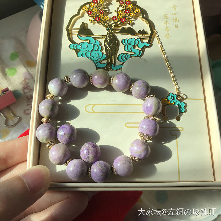 舒俱来的手牌_手排舒俱来