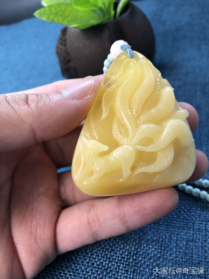 是阿狸呀～_琥珀蜜蜡