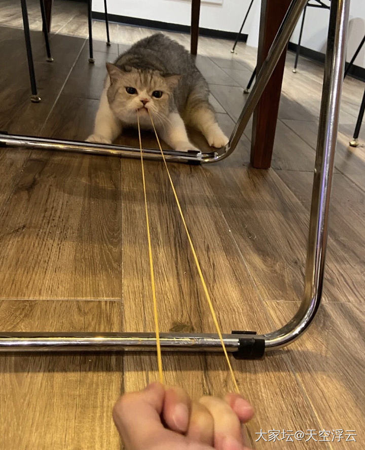 失眠怎么治