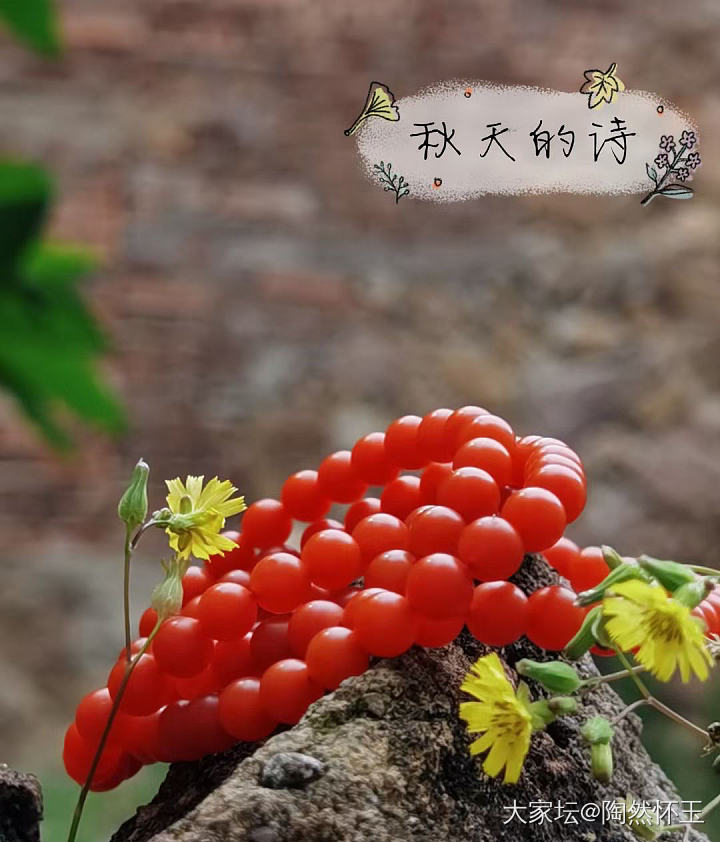 立秋后，红艳艳的叫啥_首饰