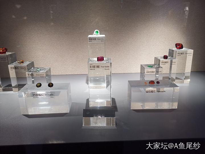 中国地质博物馆，坛友去了都会两眼发光的地方˚*̥(∗*⁰͈꒨⁰͈)*̥_博物馆