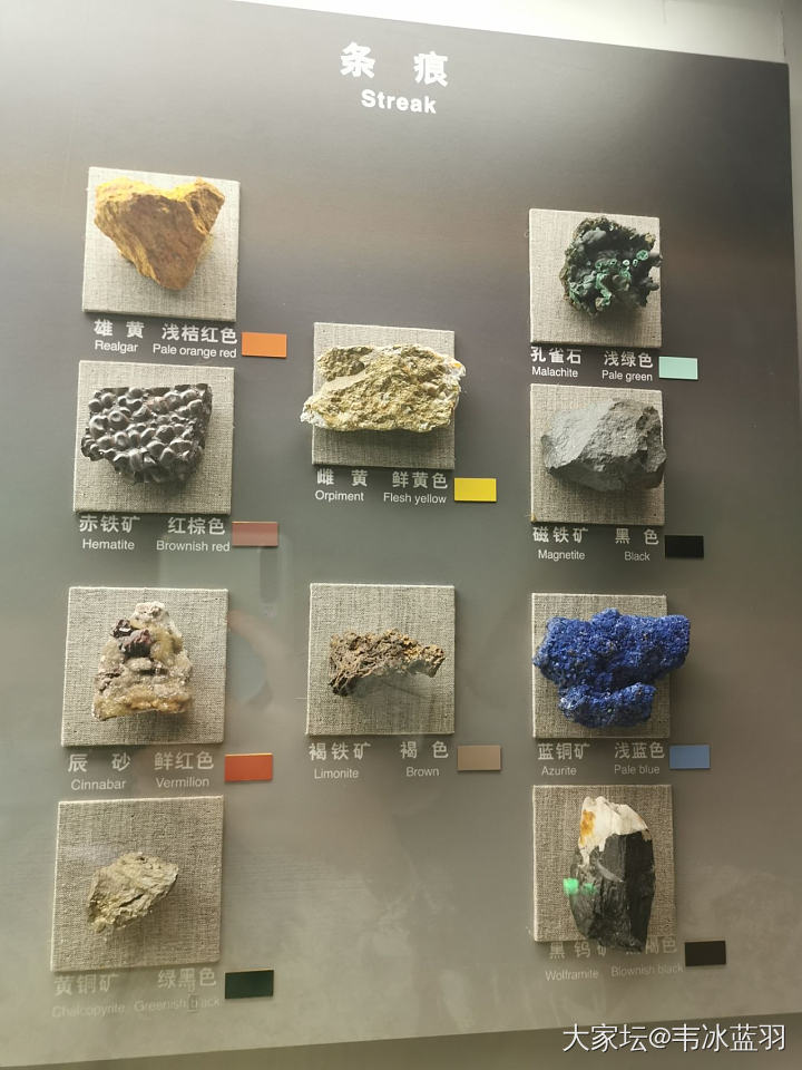 中国地质博物馆，坛友去了都会两眼发光的地方˚*̥(∗*⁰͈꒨⁰͈)*̥_博物馆