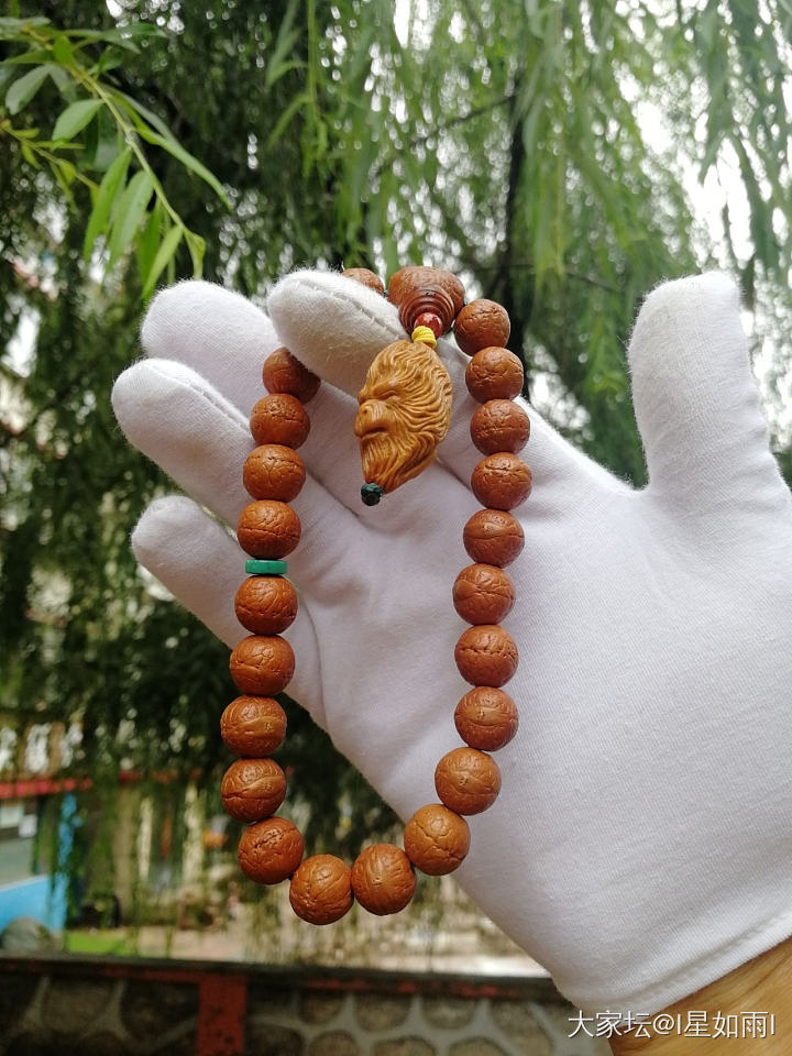 暂时定妆_珠串菩提子文玩