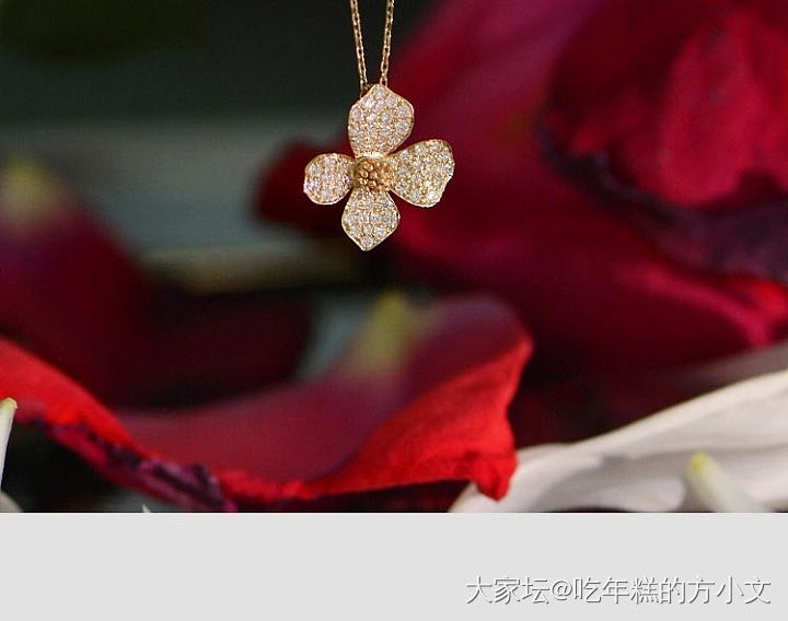 姐妹们，快来帮我灭草_首饰