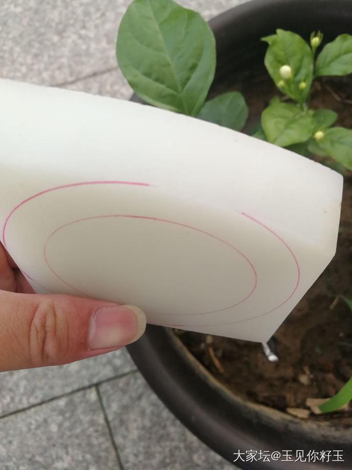奋斗吧！青春………（记录于2022·01·10）_和田玉