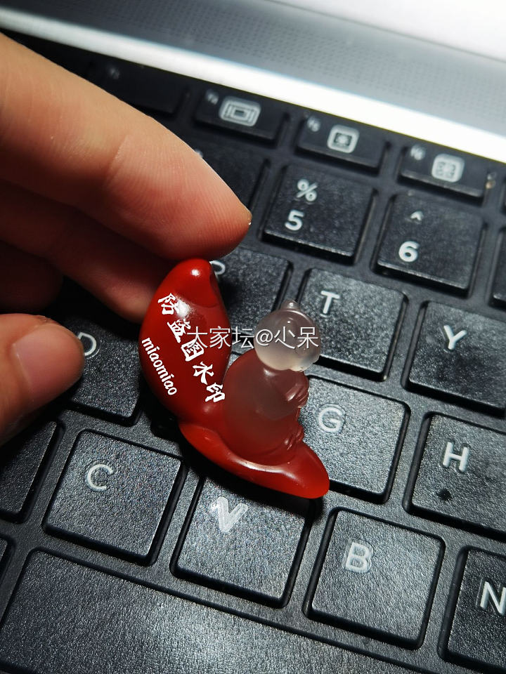 水印打累了～～就无聊晒晒小松鼠_南红