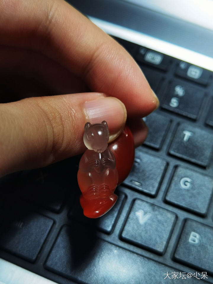 水印打累了～～就无聊晒晒小松鼠_南红