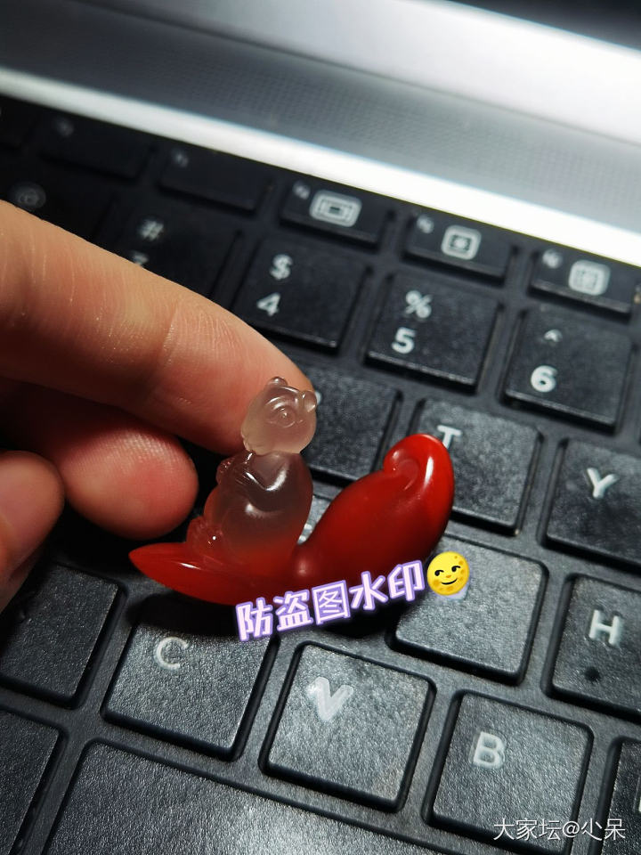 水印打累了～～就无聊晒晒小松鼠_南红