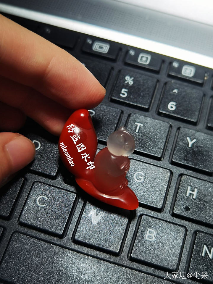 水印打累了～～就无聊晒晒小松鼠_南红