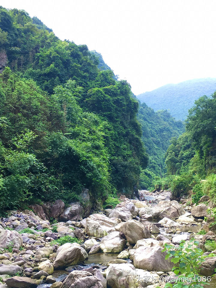 最近爱上了野泳_旅游