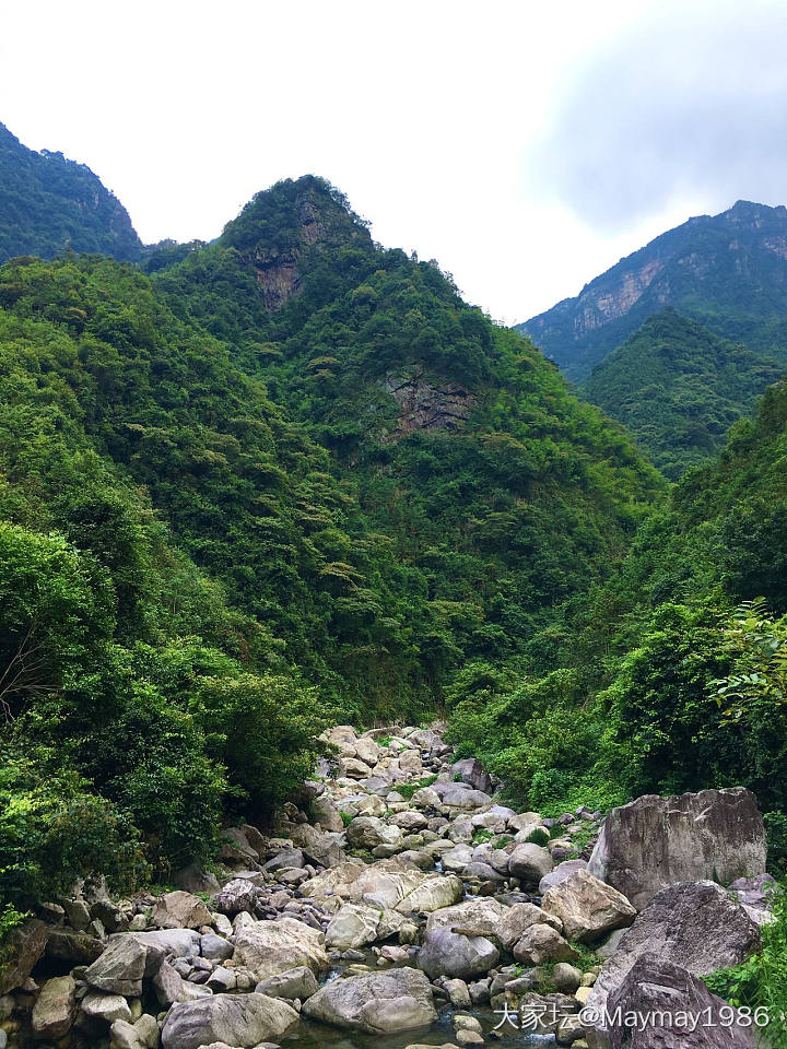 最近爱上了野泳_旅游