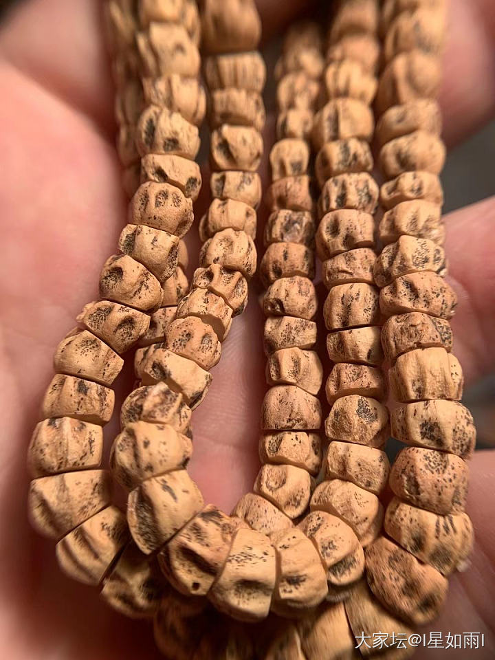打磨一条斜切_菩提子
