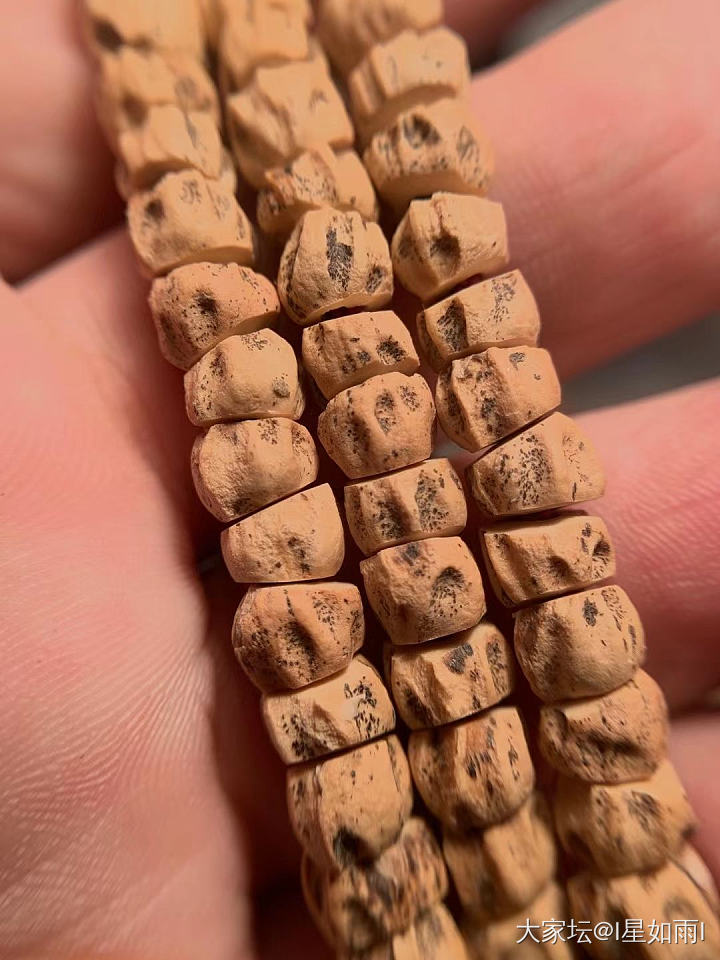 打磨一条斜切_菩提子