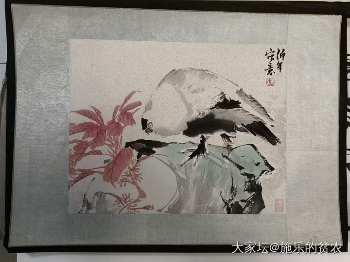 任伯年《白鸽》花鸟小品_书画