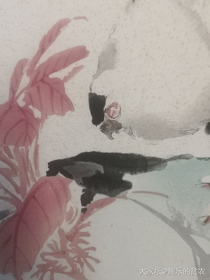 任伯年《白鸽》花鸟小品_书画