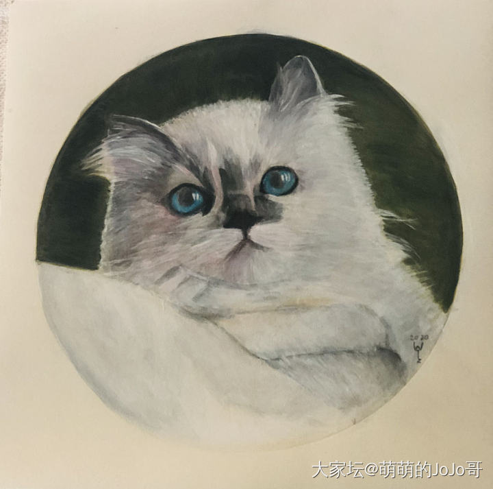 朋友画的家里崽子们 😄_猫书画宠物