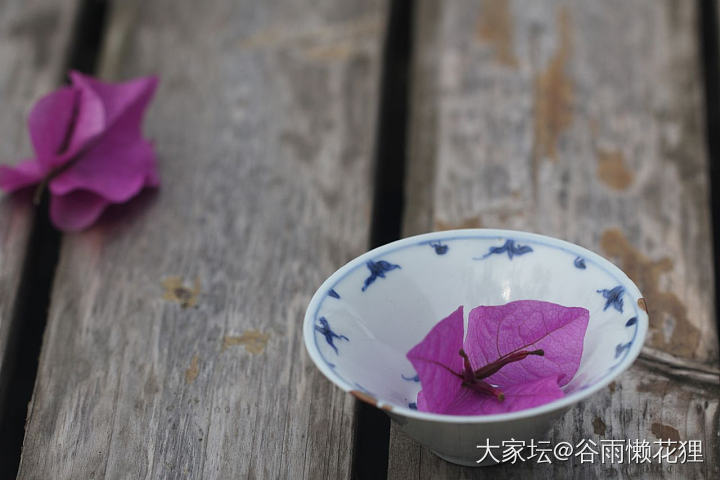 月华纹：皎皎空中孤月轮_陶瓷