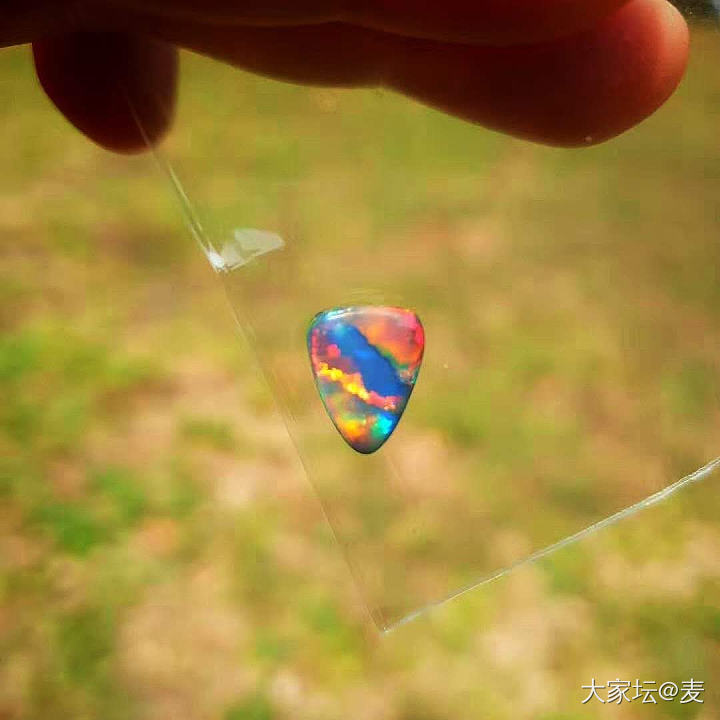 🤩今天是欧泊分享🤩_欧泊