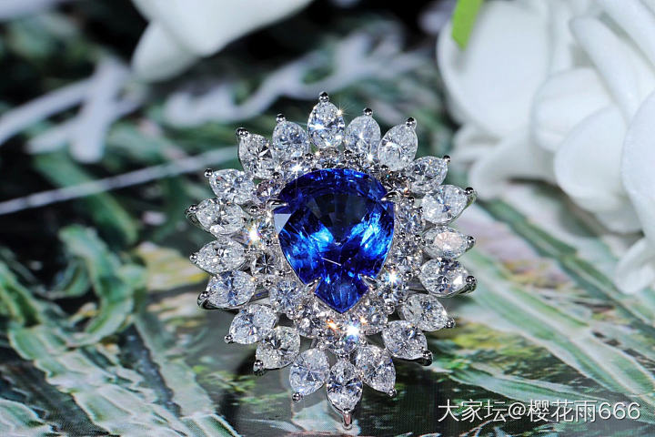 选个款式_镶嵌彩色宝石