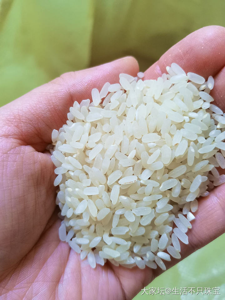 送完老大，菜场遇见老人卖米喜欢这样的农家米，虽然有点黑，但是煮好开盖时米香浓郁。_食材