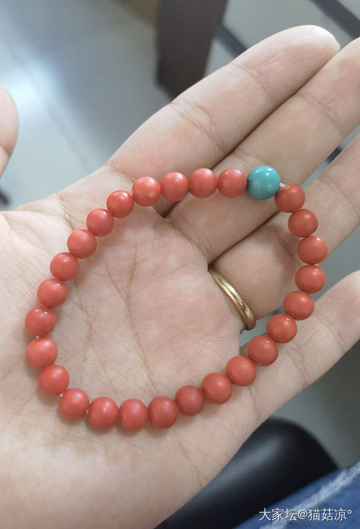 求momo的保养方法_珊瑚