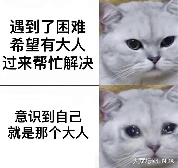 中年人伤心了_闲聊