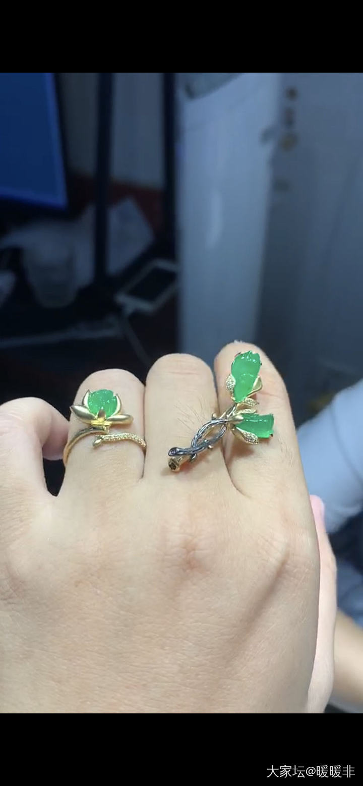 莲蓬的镶嵌设计思路_设计翡翠