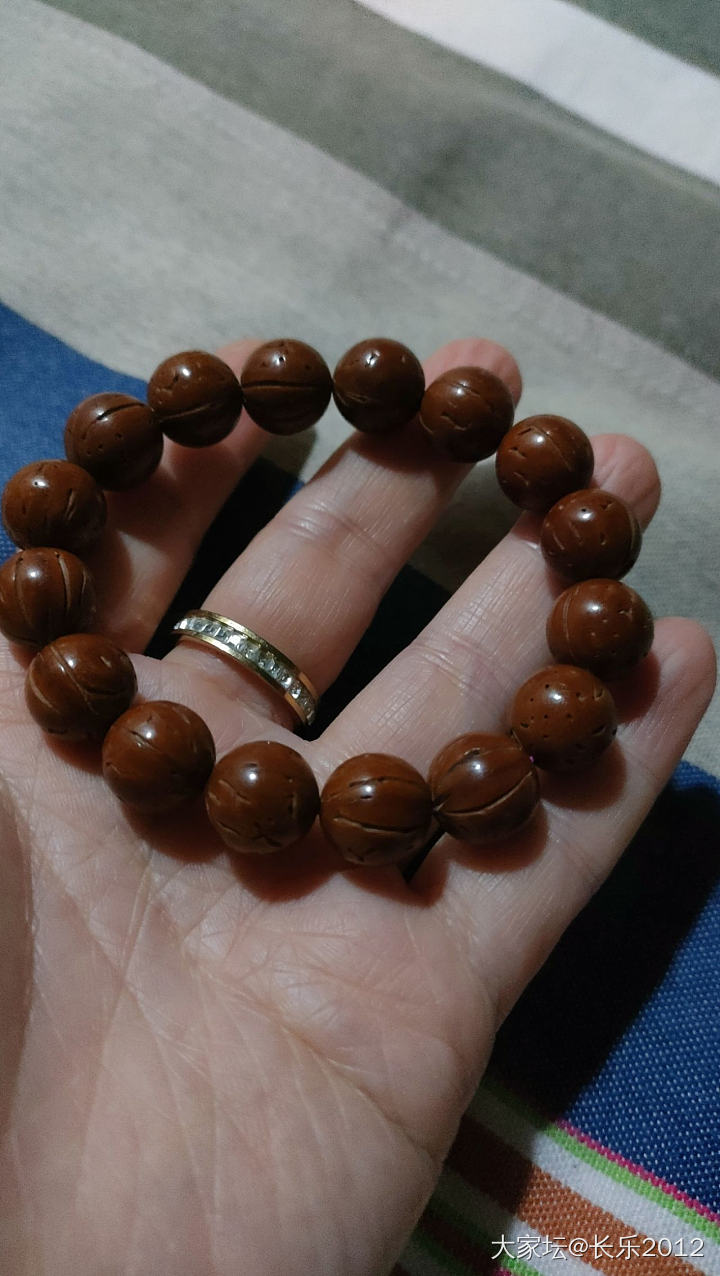 失而复得的小核桃_核桃