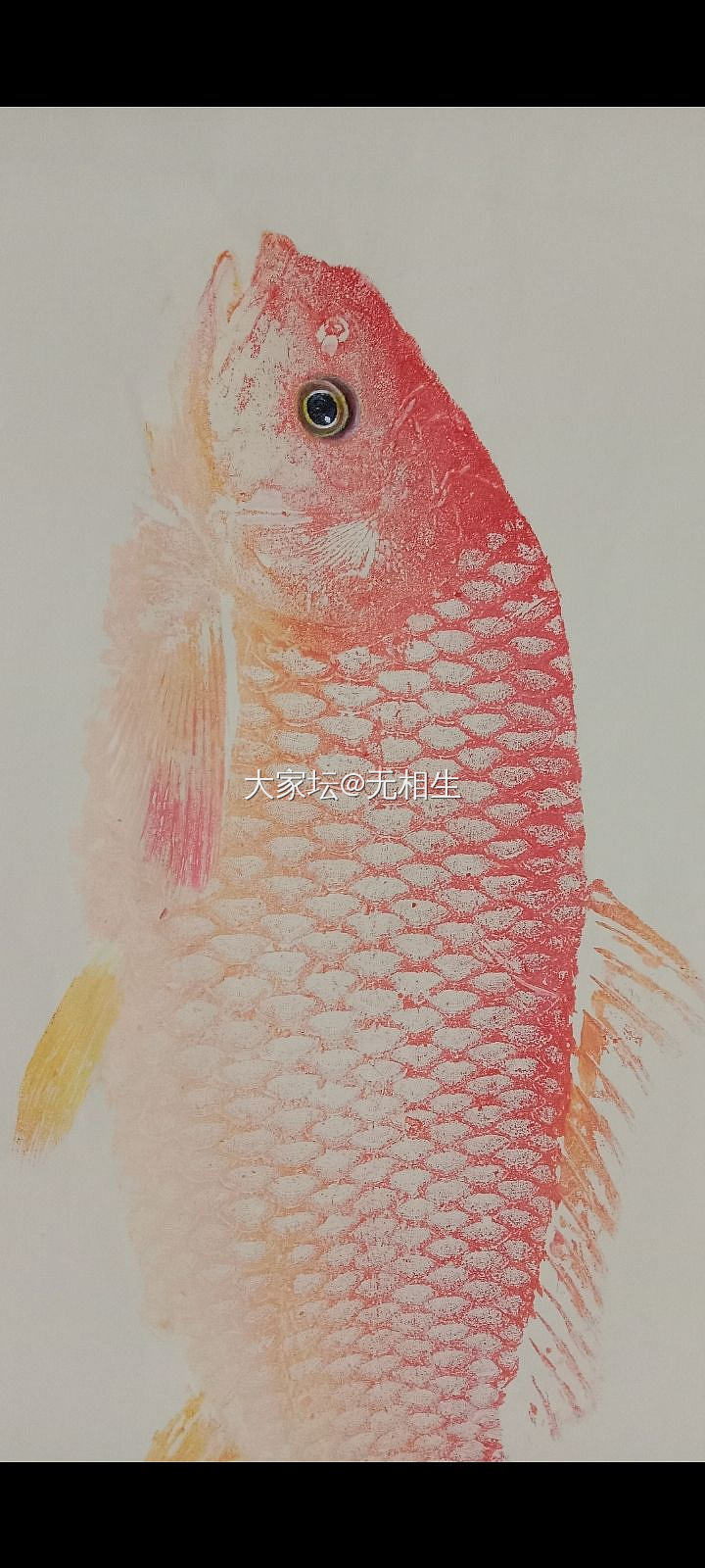 书法鱼拓_书画