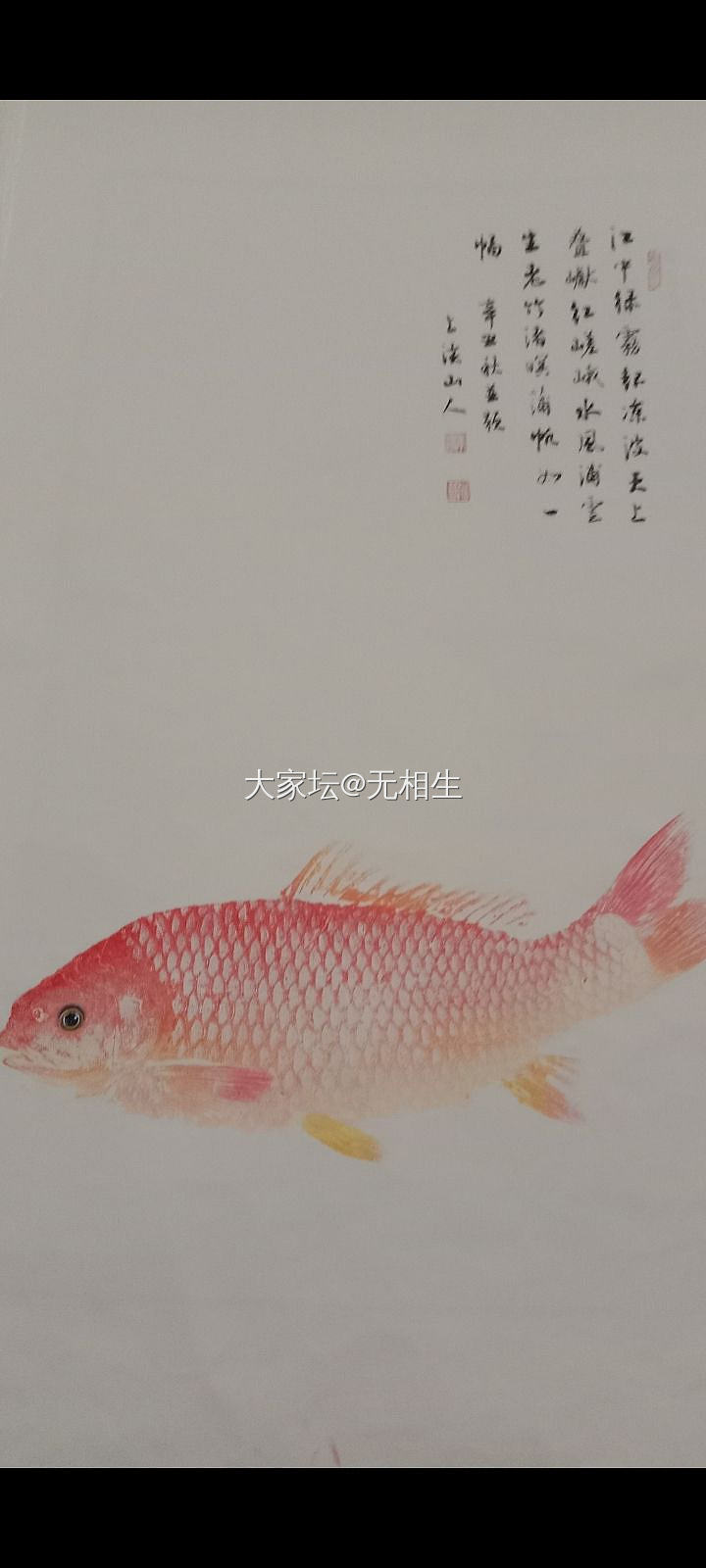 书法鱼拓_书画
