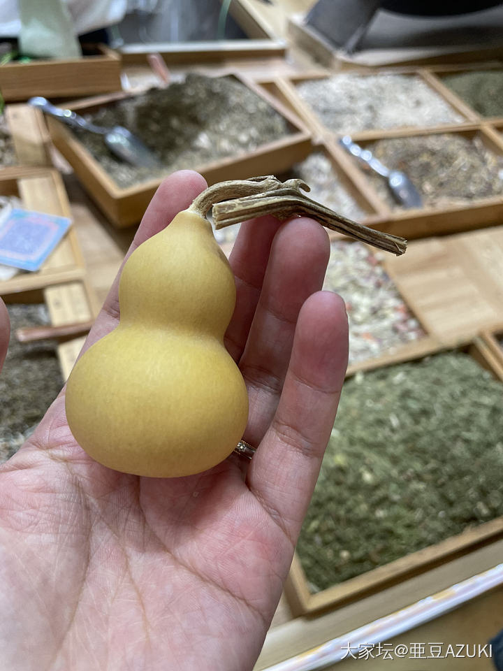 淘了个葫芦_葫芦
