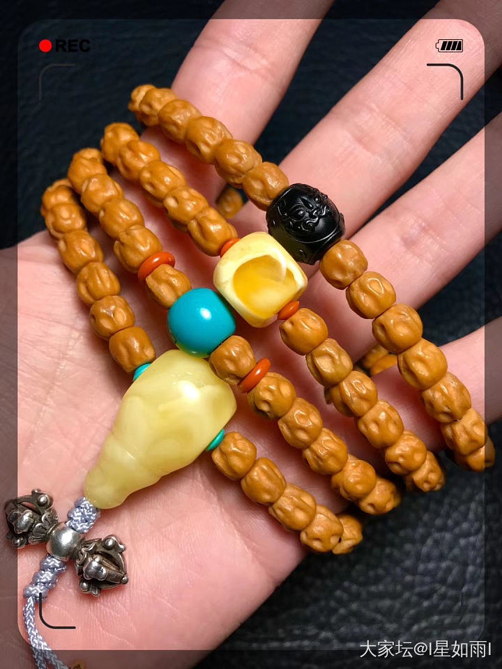 百香籽科普贴（番外篇）_菩提子