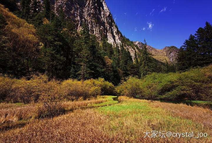 九寨黄龙归来
九寨黄龙归来腿已废，但不虚此行，美图献上，共赏。_景色