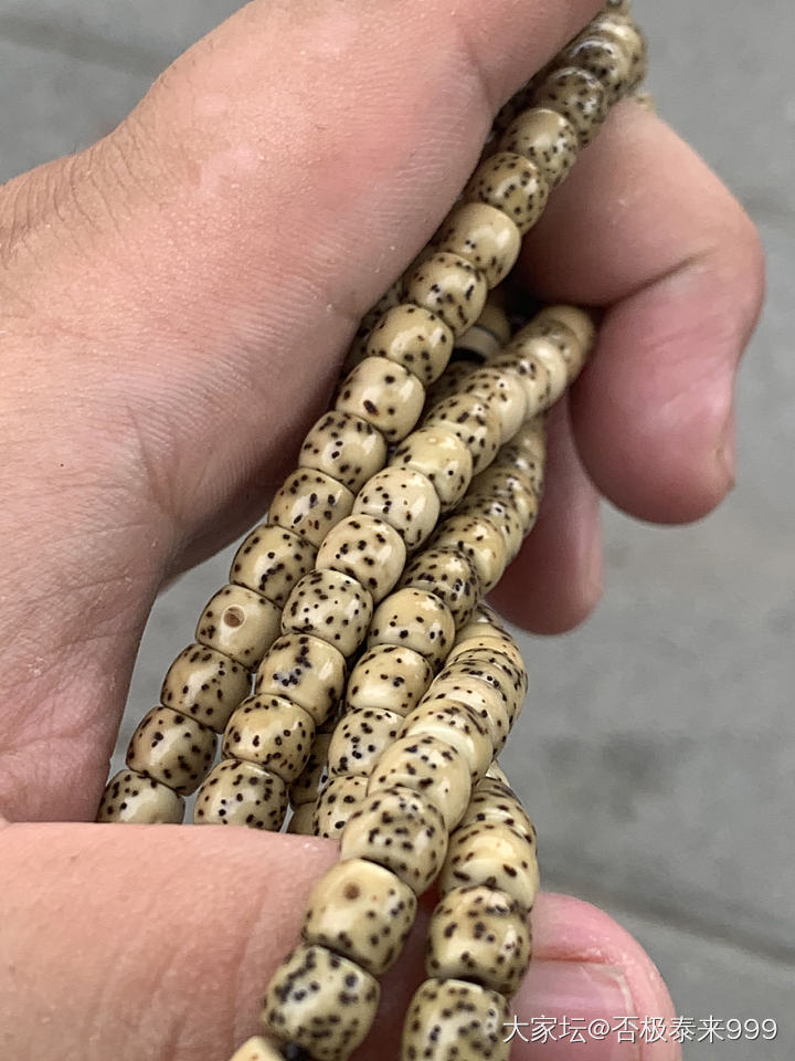 星月菩提_珠串
