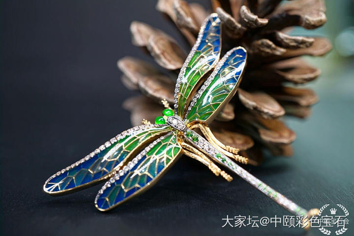 ##中颐天然彩色宝石胸针##  18K白金钻石镶嵌_胸饰名贵宝石