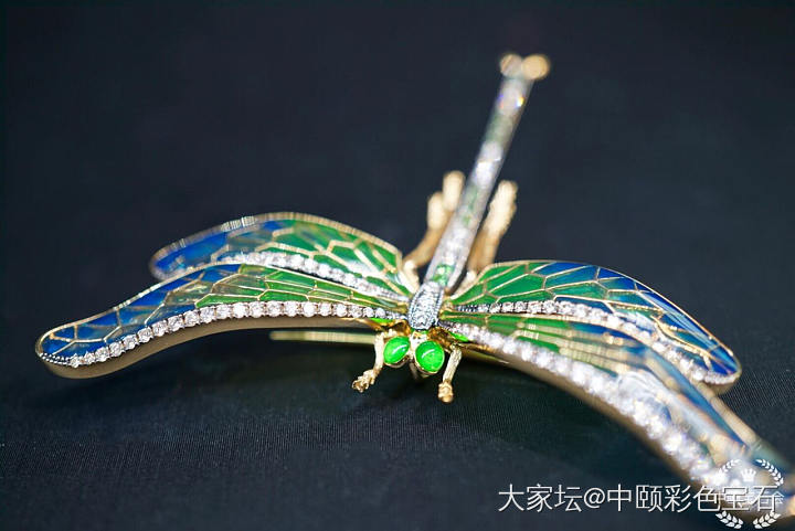 ##中颐天然彩色宝石胸针##  18K白金钻石镶嵌_胸饰名贵宝石